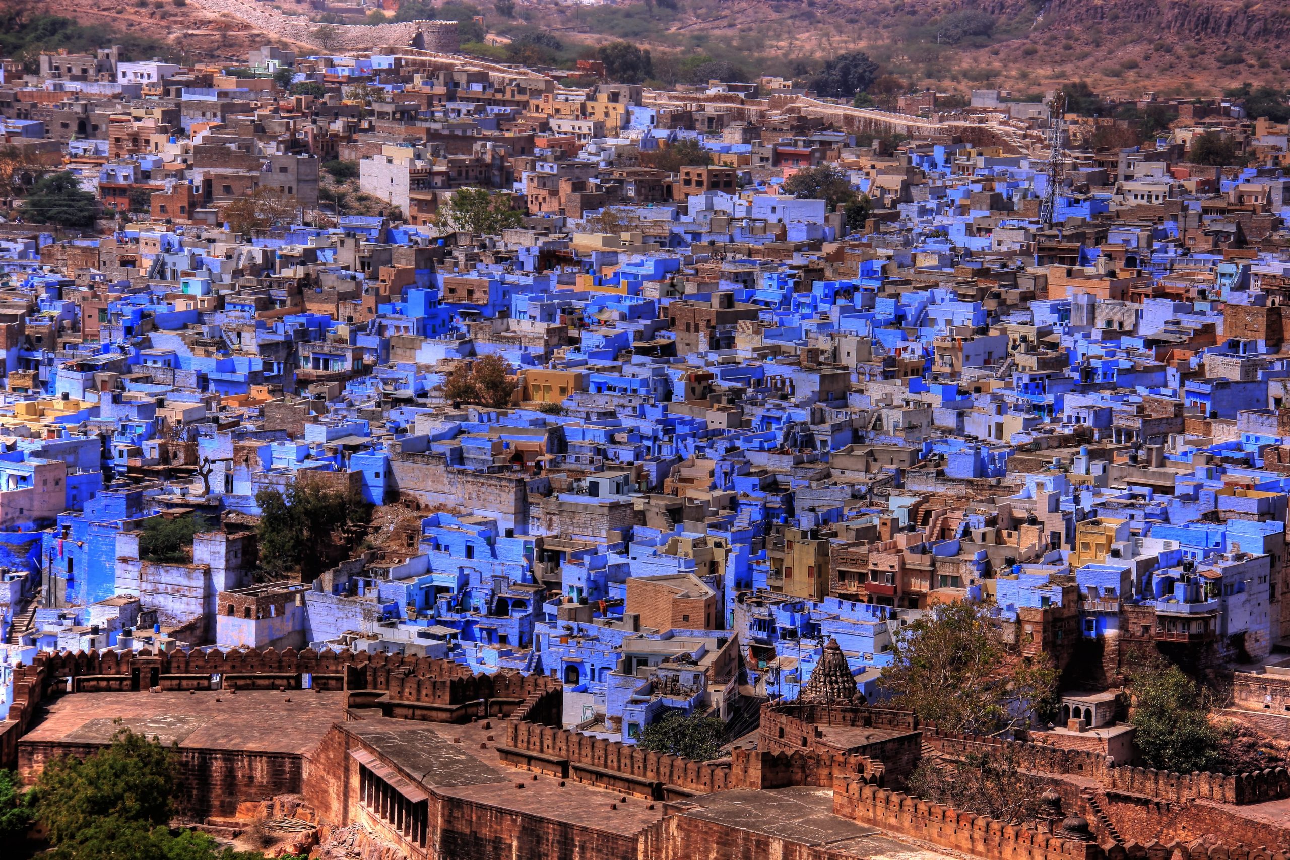 Blue City Jodhpur 1 (1)