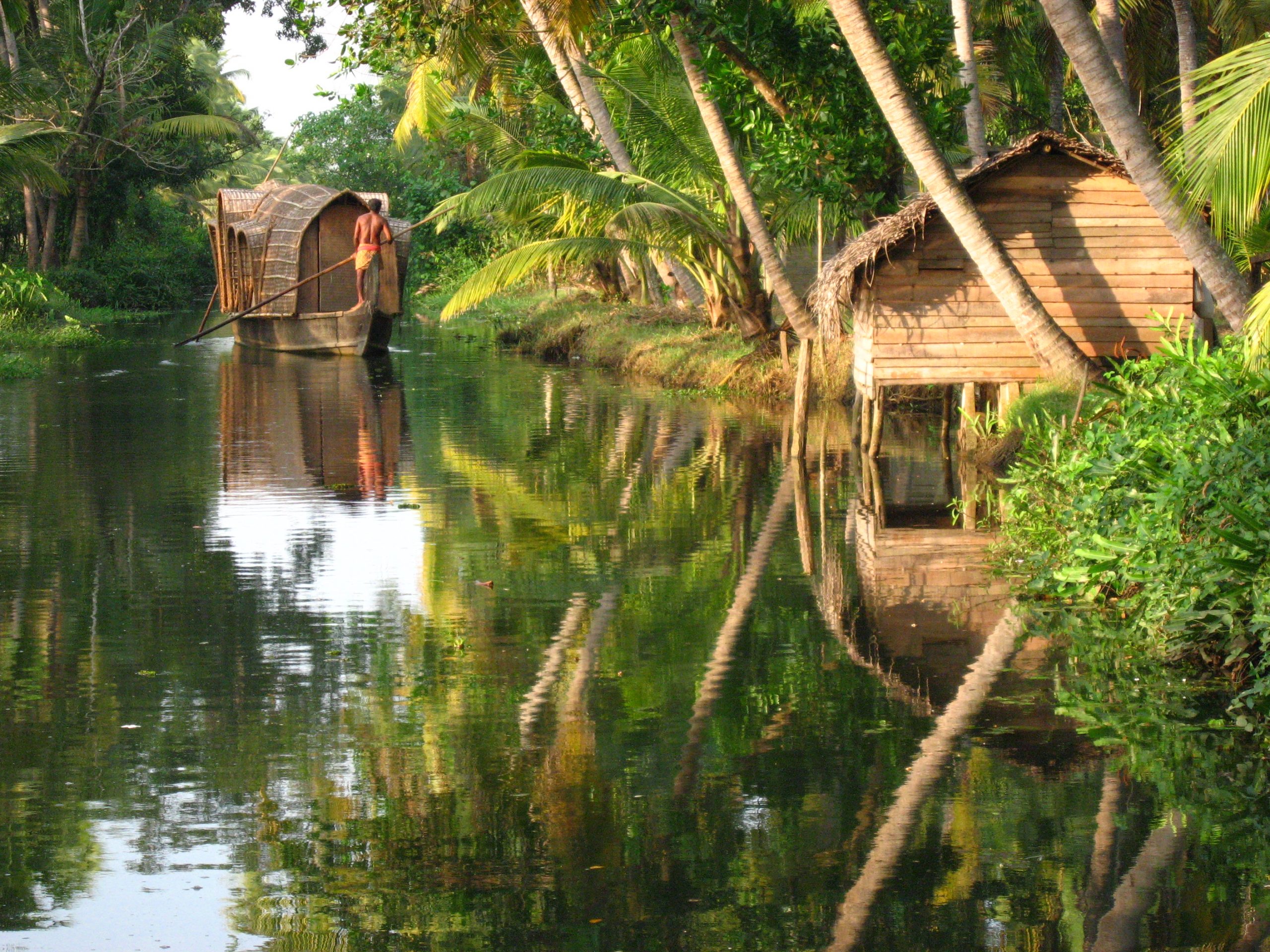 Kerala_backwater_scene (1) (1)