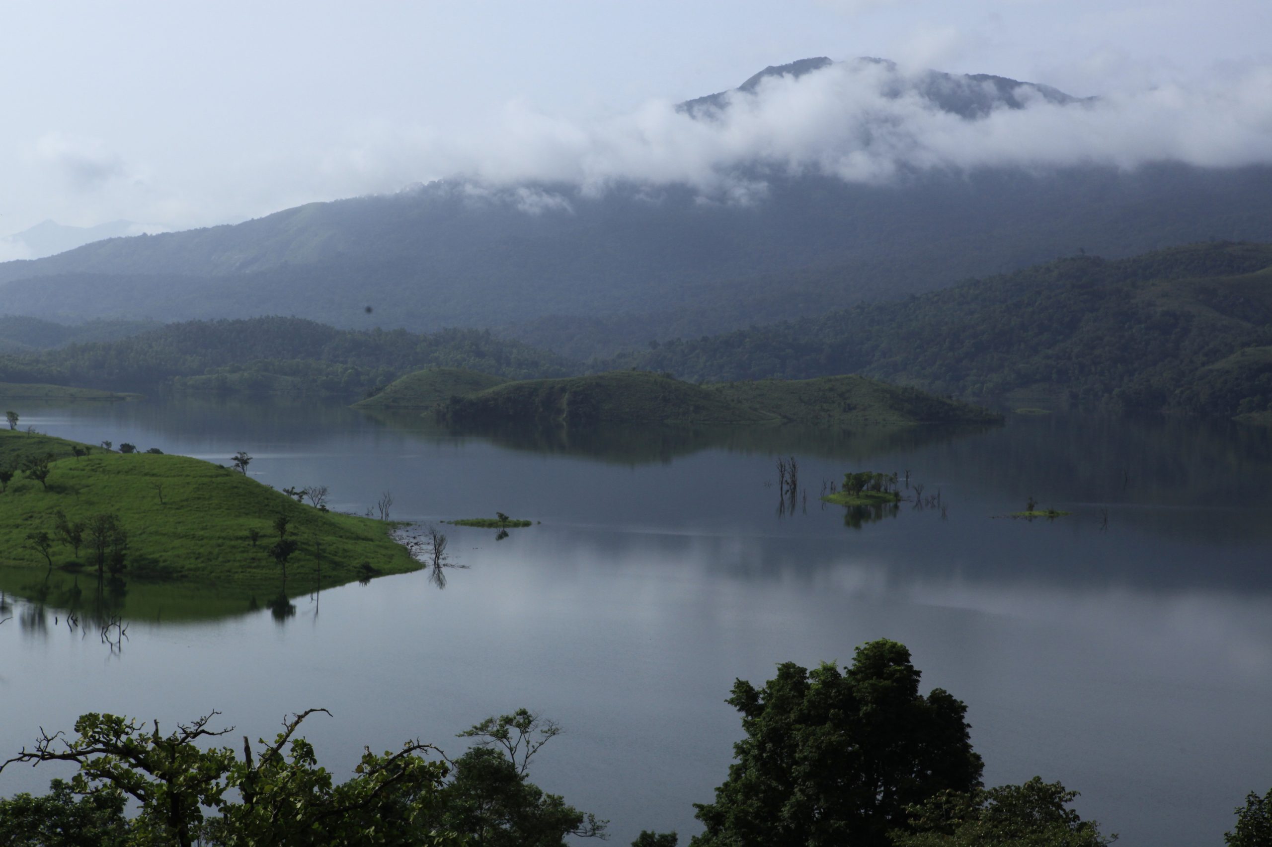 Wayanad